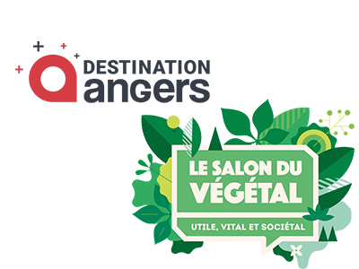 Destination Angers - Suivi et rédaction d'interviews